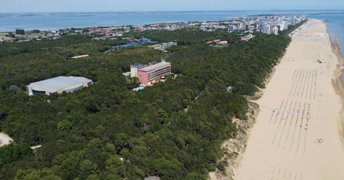 DJI_0281